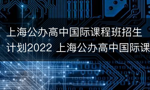 上海公办高中国际课程班招生计划2022 上海公办高中国际课程班招生计划2022级