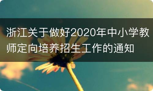 浙江关于做好2020年中小学教师定向培养招生工作的通知