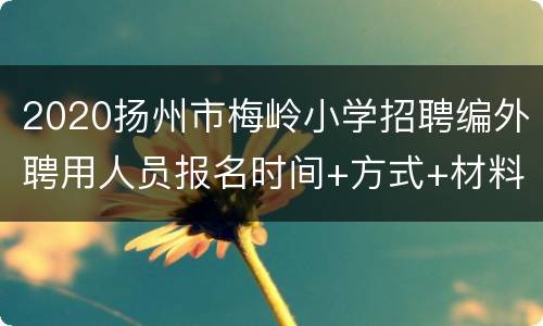 2020扬州市梅岭小学招聘编外聘用人员报名时间+方式+材料