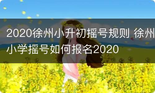 2020徐州小升初摇号规则 徐州小学摇号如何报名2020