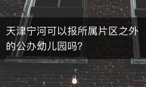 天津宁河可以报所属片区之外的公办幼儿园吗？