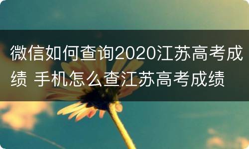 微信如何查询2020江苏高考成绩 手机怎么查江苏高考成绩