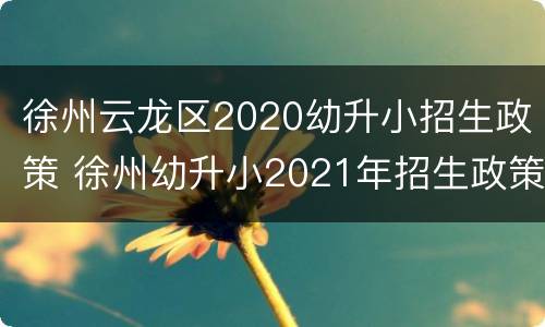 徐州云龙区2020幼升小招生政策 徐州幼升小2021年招生政策