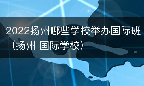 2022扬州哪些学校举办国际班（扬州 国际学校）