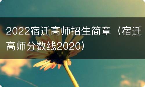 2022宿迁高师招生简章（宿迁高师分数线2020）