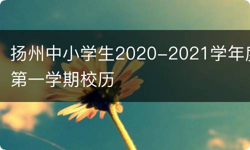 扬州中小学生2020-2021学年度第一学期校历