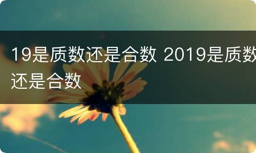 19是质数还是合数 2019是质数还是合数