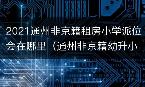 2021通州非京籍租房小学派位会在哪里（通州非京籍幼升小派位情况）