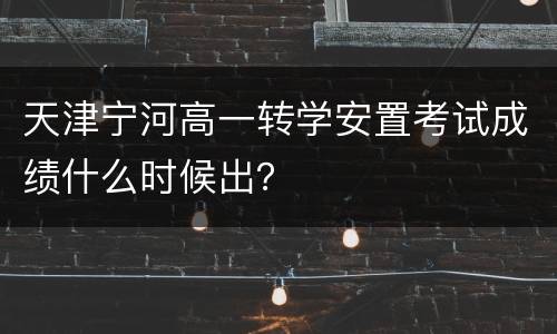 天津宁河高一转学安置考试成绩什么时候出？