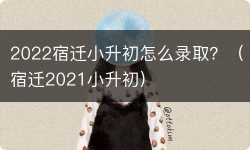 2022宿迁小升初怎么录取？（宿迁2021小升初）