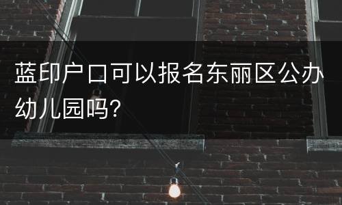 蓝印户口可以报名东丽区公办幼儿园吗？