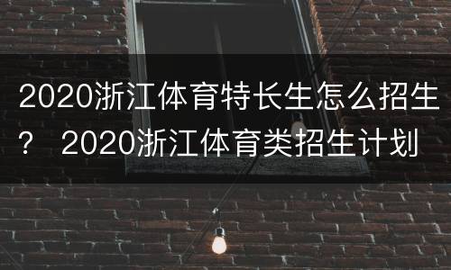 2020浙江体育特长生怎么招生？ 2020浙江体育类招生计划