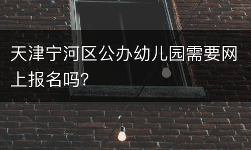 天津宁河区公办幼儿园需要网上报名吗？