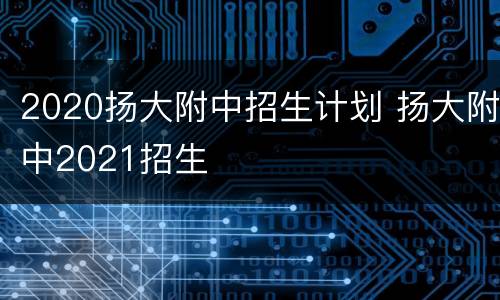 2020扬大附中招生计划 扬大附中2021招生