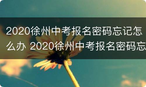 2020徐州中考报名密码忘记怎么办 2020徐州中考报名密码忘记怎么办理