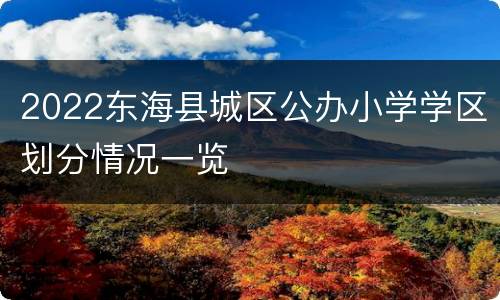 2022东海县城区公办小学学区划分情况一览