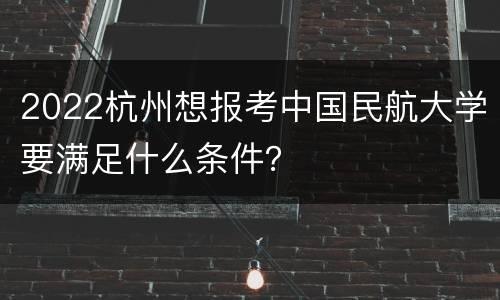 2022杭州想报考中国民航大学要满足什么条件？