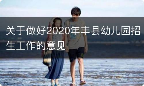 关于做好2020年丰县幼儿园招生工作的意见