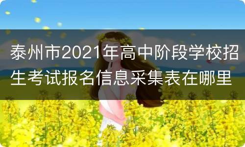 泰州市2021年高中阶段学校招生考试报名信息采集表在哪里查看