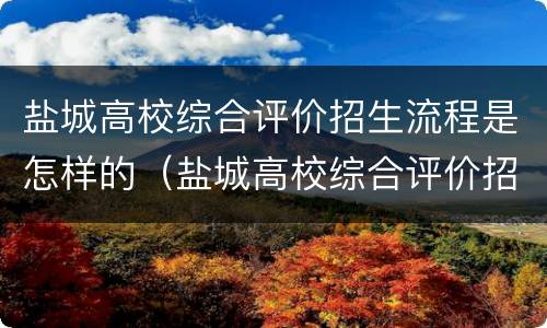 盐城高校综合评价招生流程是怎样的（盐城高校综合评价招生流程是怎样的呢）