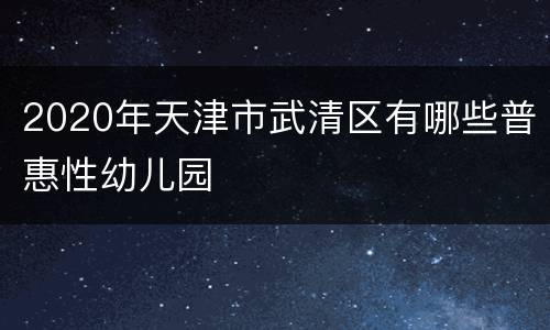 2020年天津市武清区有哪些普惠性幼儿园