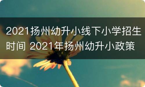 2021扬州幼升小线下小学招生时间 2021年扬州幼升小政策