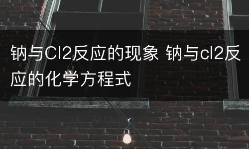 钠与Cl2反应的现象 钠与cl2反应的化学方程式