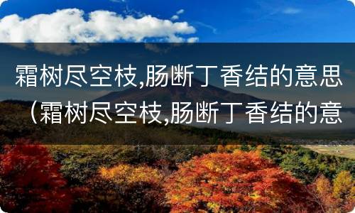 霜树尽空枝,肠断丁香结的意思（霜树尽空枝,肠断丁香结的意思解释）