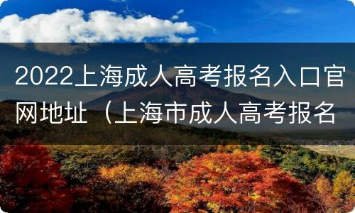 2022上海成人高考报名入口官网地址（上海市成人高考报名网）