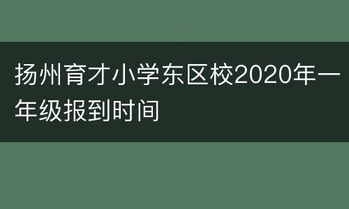 扬州育才小学东区校2020年一年级报到时间