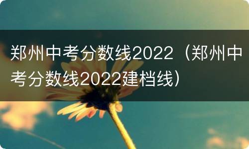 郑州中考分数线2022（郑州中考分数线2022建档线）