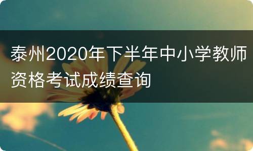 泰州2020年下半年中小学教师资格考试成绩查询