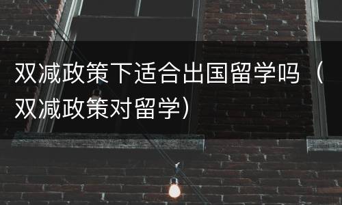 双减政策下适合出国留学吗（双减政策对留学）