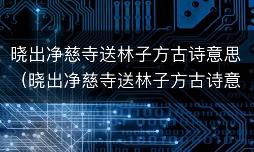 晓出净慈寺送林子方古诗意思（晓出净慈寺送林子方古诗意思全解）