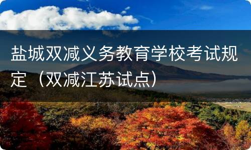 盐城双减义务教育学校考试规定（双减江苏试点）