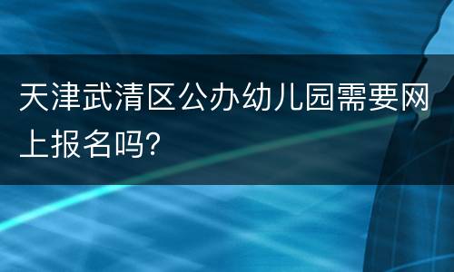 天津武清区公办幼儿园需要网上报名吗？