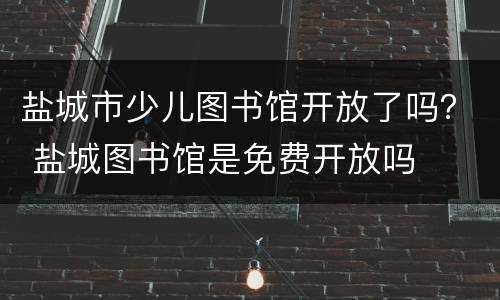 盐城市少儿图书馆开放了吗？ 盐城图书馆是免费开放吗