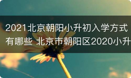 2021北京朝阳小升初入学方式有哪些 北京市朝阳区2020小升初学校划分