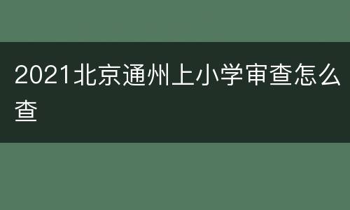 2021北京通州上小学审查怎么查