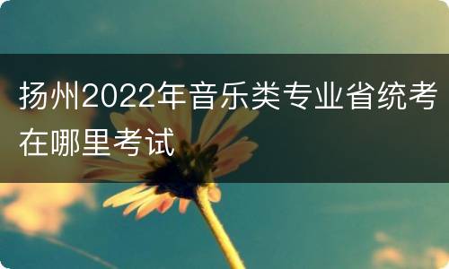 扬州2022年音乐类专业省统考在哪里考试