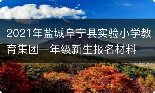 2021年盐城阜宁县实验小学教育集团一年级新生报名材料