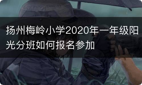 扬州梅岭小学2020年一年级阳光分班如何报名参加