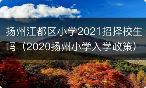 扬州江都区小学2021招择校生吗（2020扬州小学入学政策）