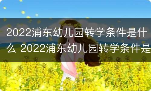 2022浦东幼儿园转学条件是什么 2022浦东幼儿园转学条件是什么意思