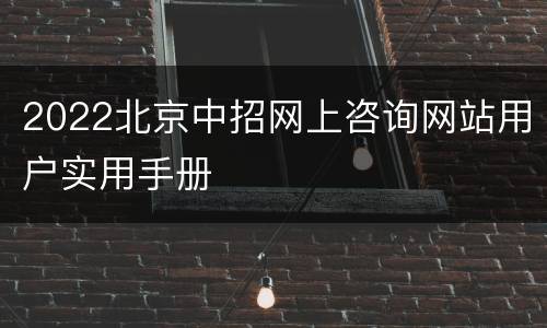 2022北京中招网上咨询网站用户实用手册