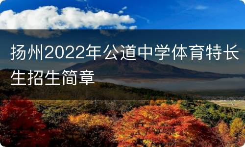 扬州2022年公道中学体育特长生招生简章