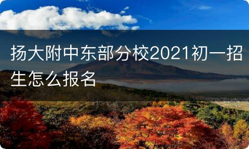 扬大附中东部分校2021初一招生怎么报名