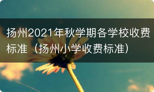 扬州2021年秋学期各学校收费标准（扬州小学收费标准）