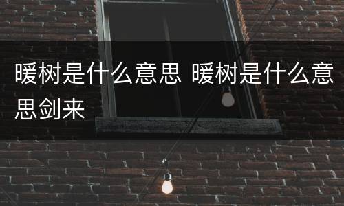 暖树是什么意思 暖树是什么意思剑来