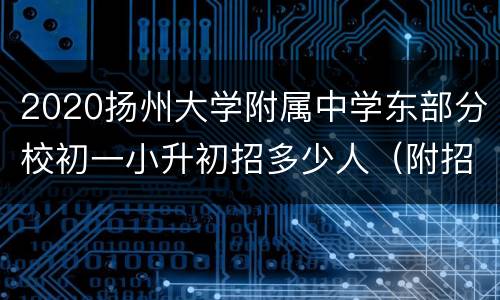 2020扬州大学附属中学东部分校初一小升初招多少人（附招生范围）